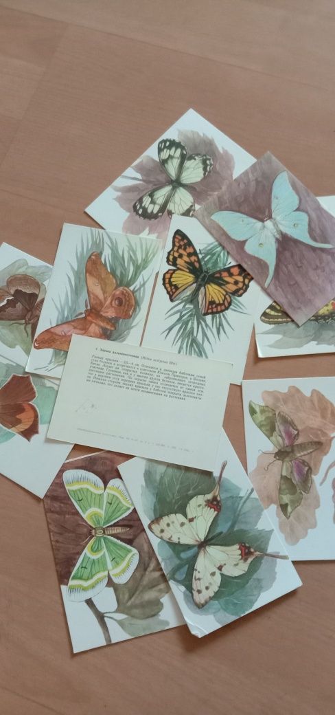 Комплекты открыток: птицы,бабочки,рыбы,роспись на шелке