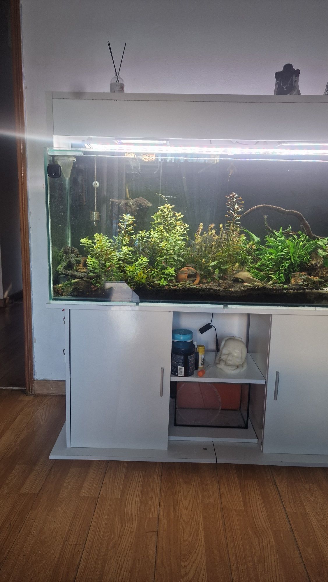 vendo aquario + movel e luzes