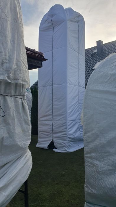 wąż świetlny żarówkowy, palmy mrozoodporne ,ogrzewanie roślin