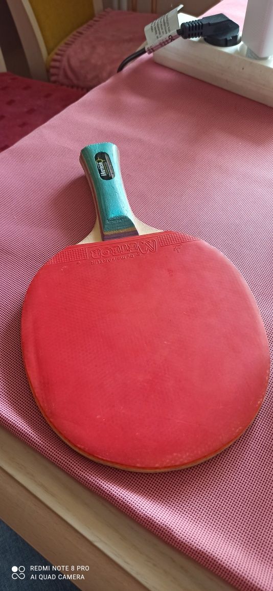 Paletka do Ping Ponga