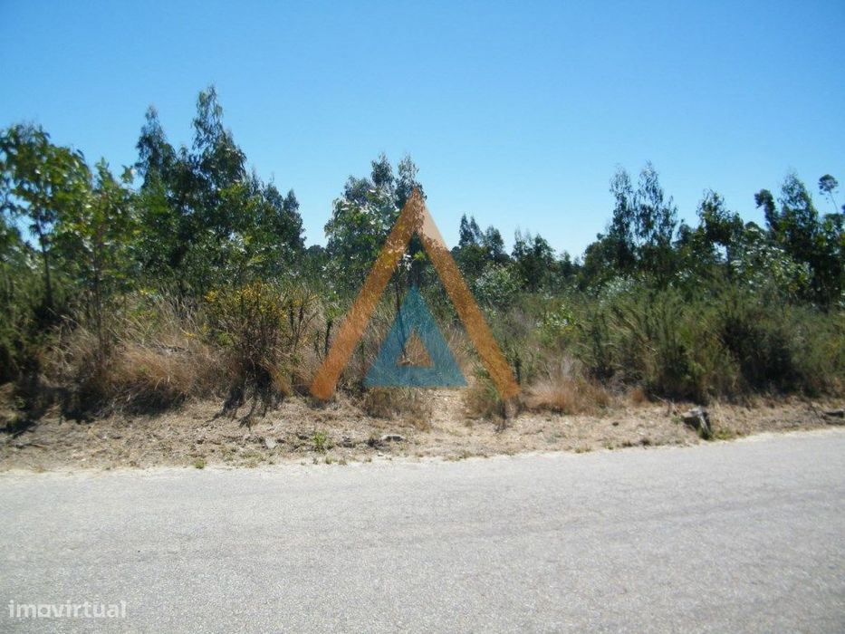 Terreno com imenso potencial