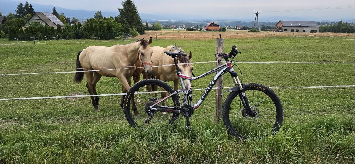 Rower MTB TRAIL ENDURO Giant Trance 3 rozmiar L