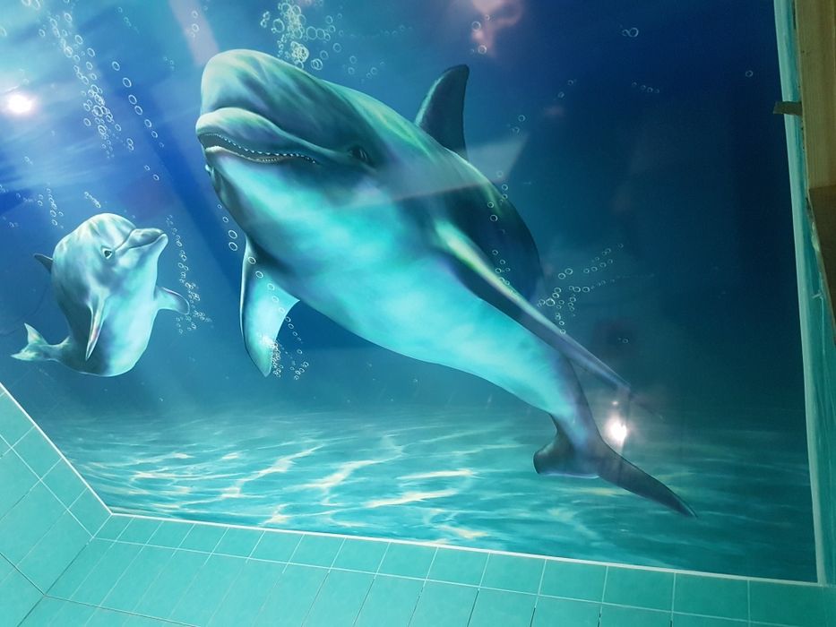 Натяжнi стелi, натяжные потолки