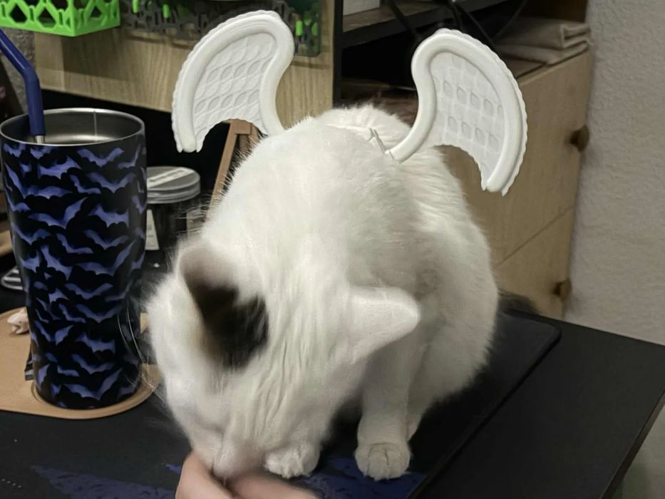 Asas de Anjo para Gato