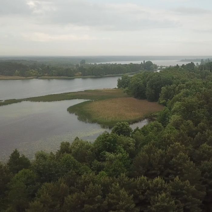 Ділянка 1.7 ГА з виходом в Київське море, Толокунь, ліс, фарватер