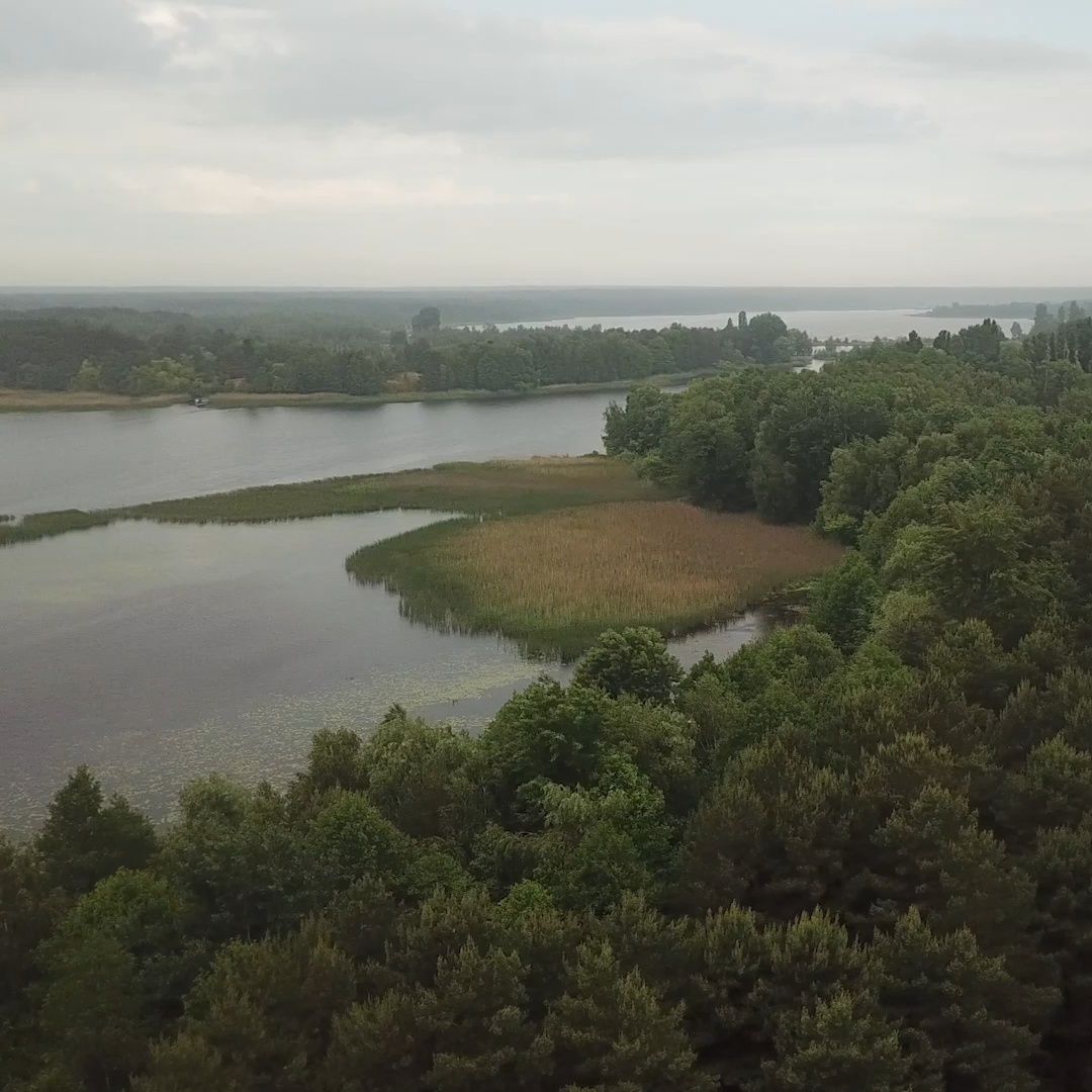 Ділянка 1.7 ГА з виходом в Київське море, Толокунь, ліс, фарватер