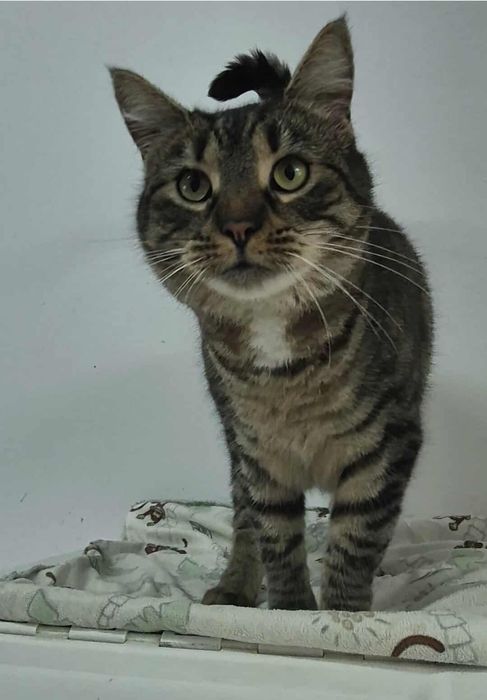 Helena szuka rodzinki