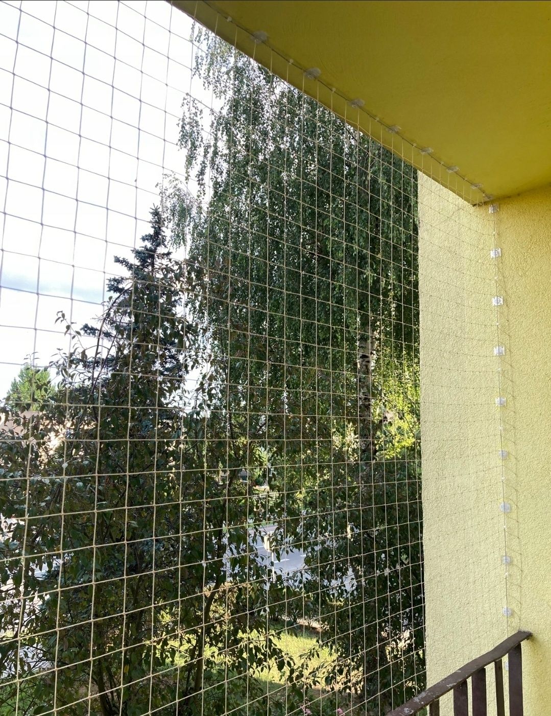 HIT Siatka na balkon bez wiercenia dla kota kompletny zestaw WYSYŁKA