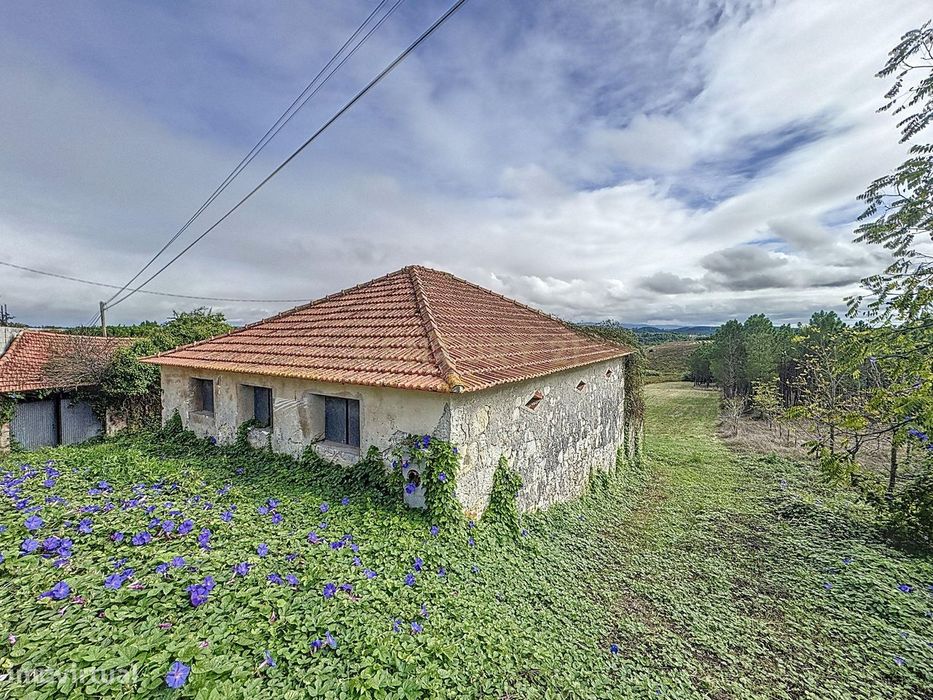 Terreno - Adega - Para Restaurar -  Montes - Quinta - Alcobaça
