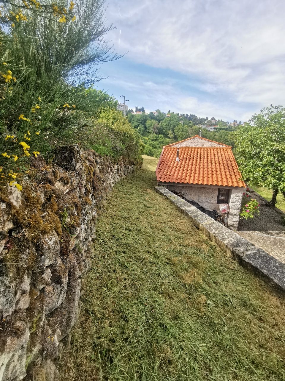 Terreno na zona do Caramulo