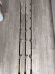 Canas de pesca congro (safio) 80 € cada