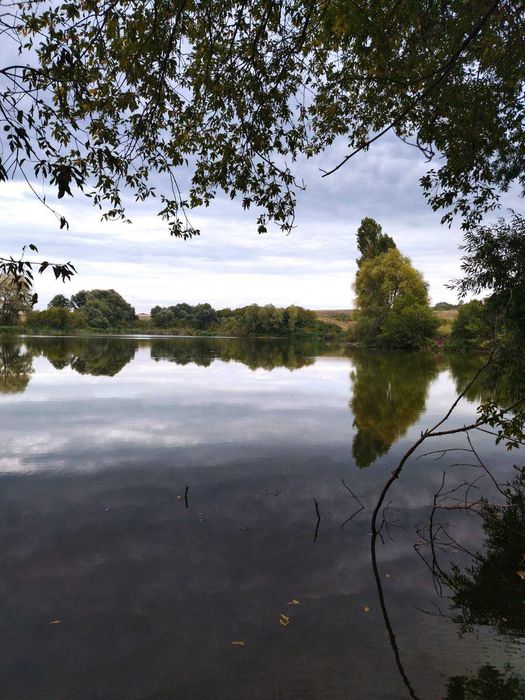 Оренда земельної ділянки водного фонду, площа 7,8238 га, Харківщина
