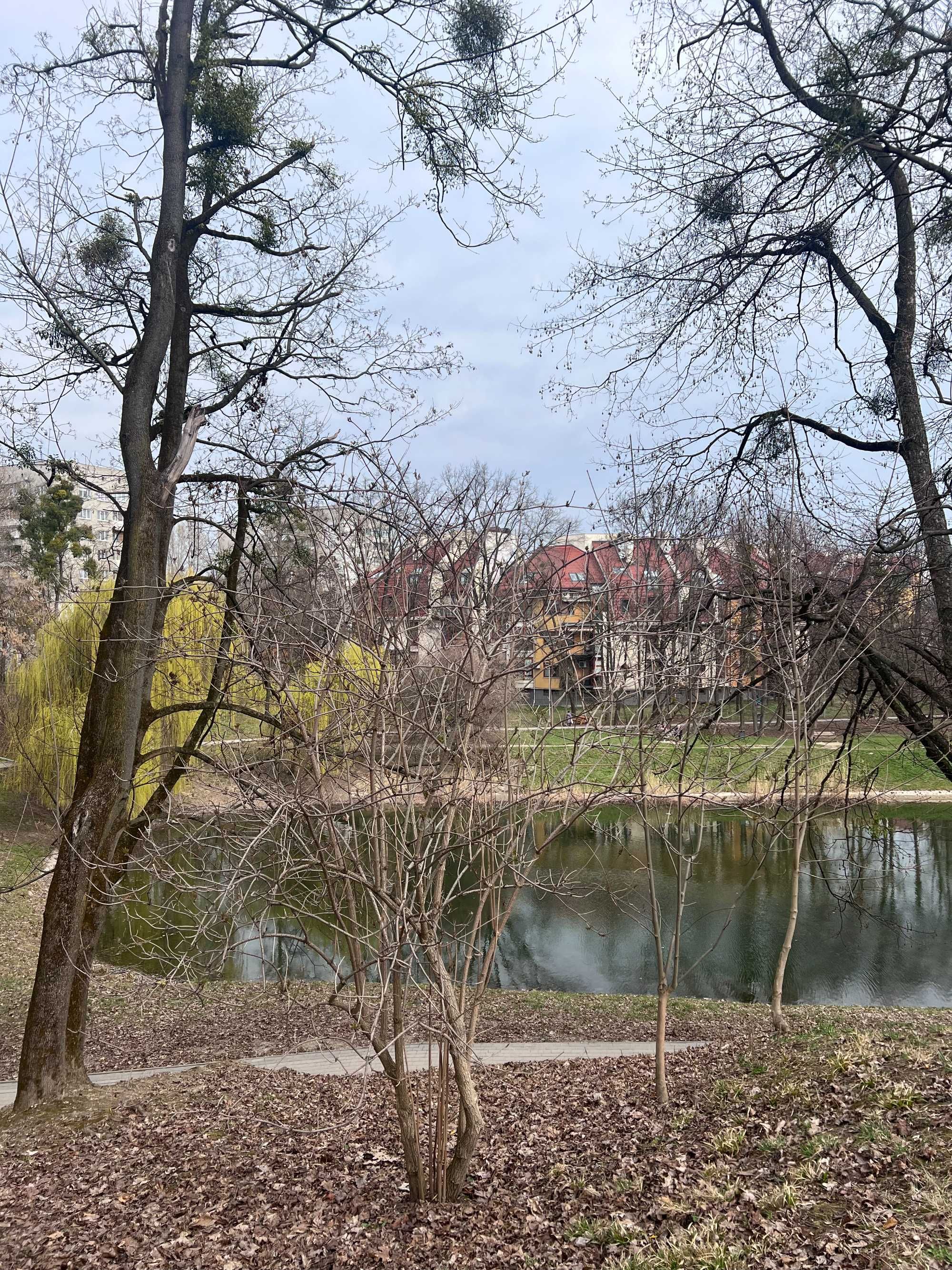 Продаж будинку в чудовій локації, вул.Рудницького