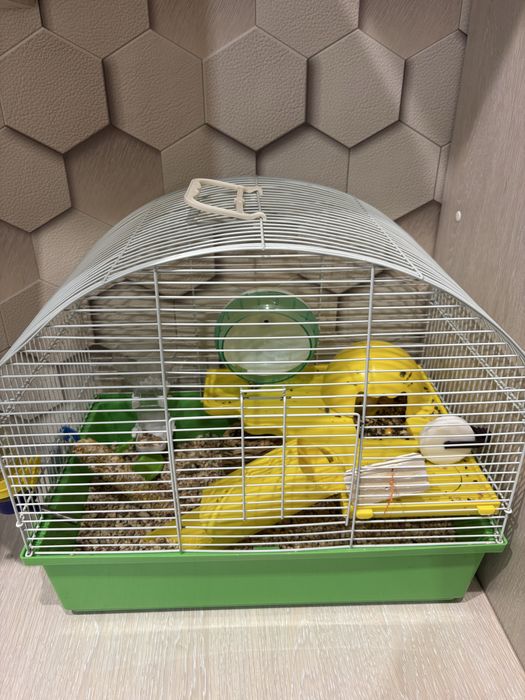 Продам хомяка с клеткой