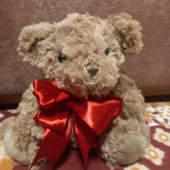 Ведмедик,мягка іграшка