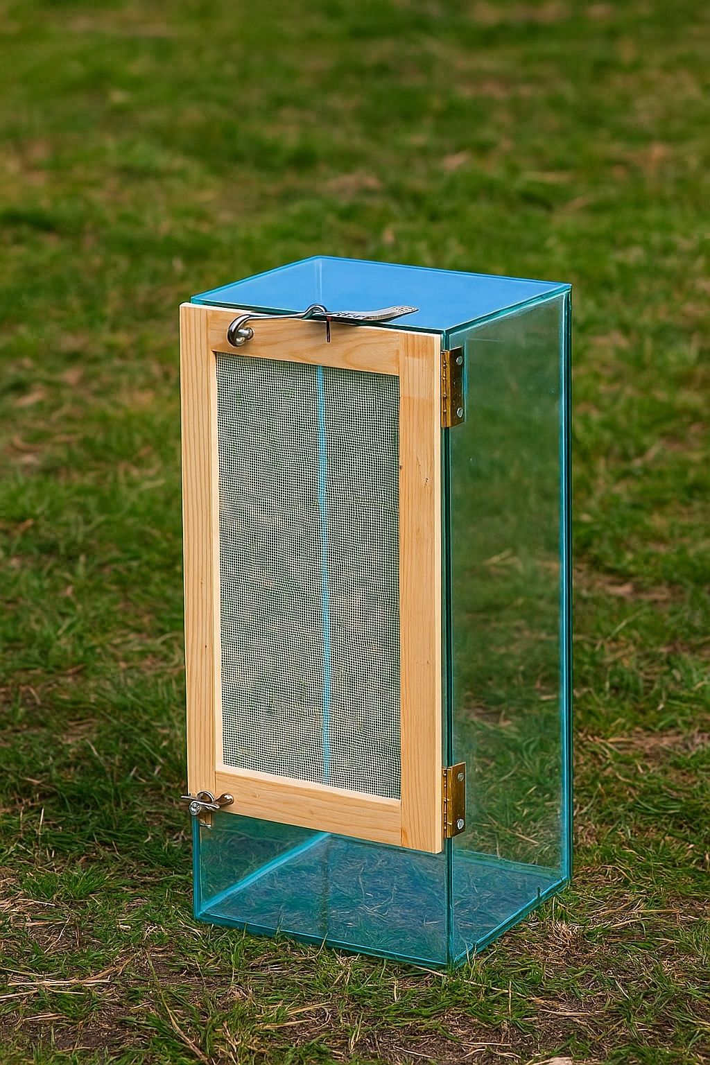 Terrarium szklane z drzwiczkami