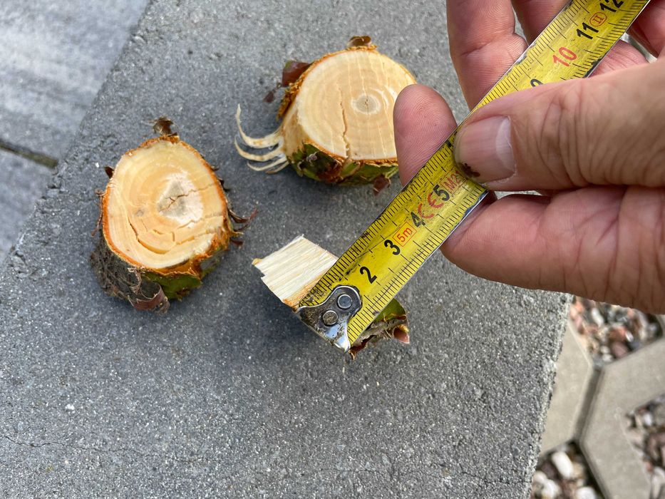 Rębak spalinowy  do gałęzi