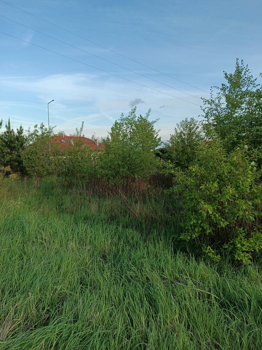 Mulczer leśny wgłebny wycinka drzew karczowanie czyszczenie działek mu