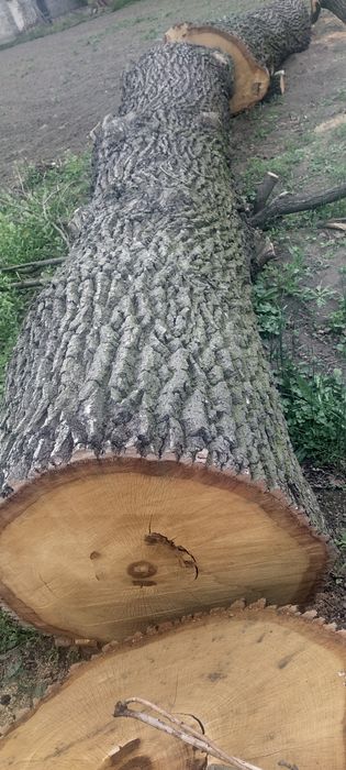 Dąb w klocku  4 x 4 metry na foszty foszt dębowe