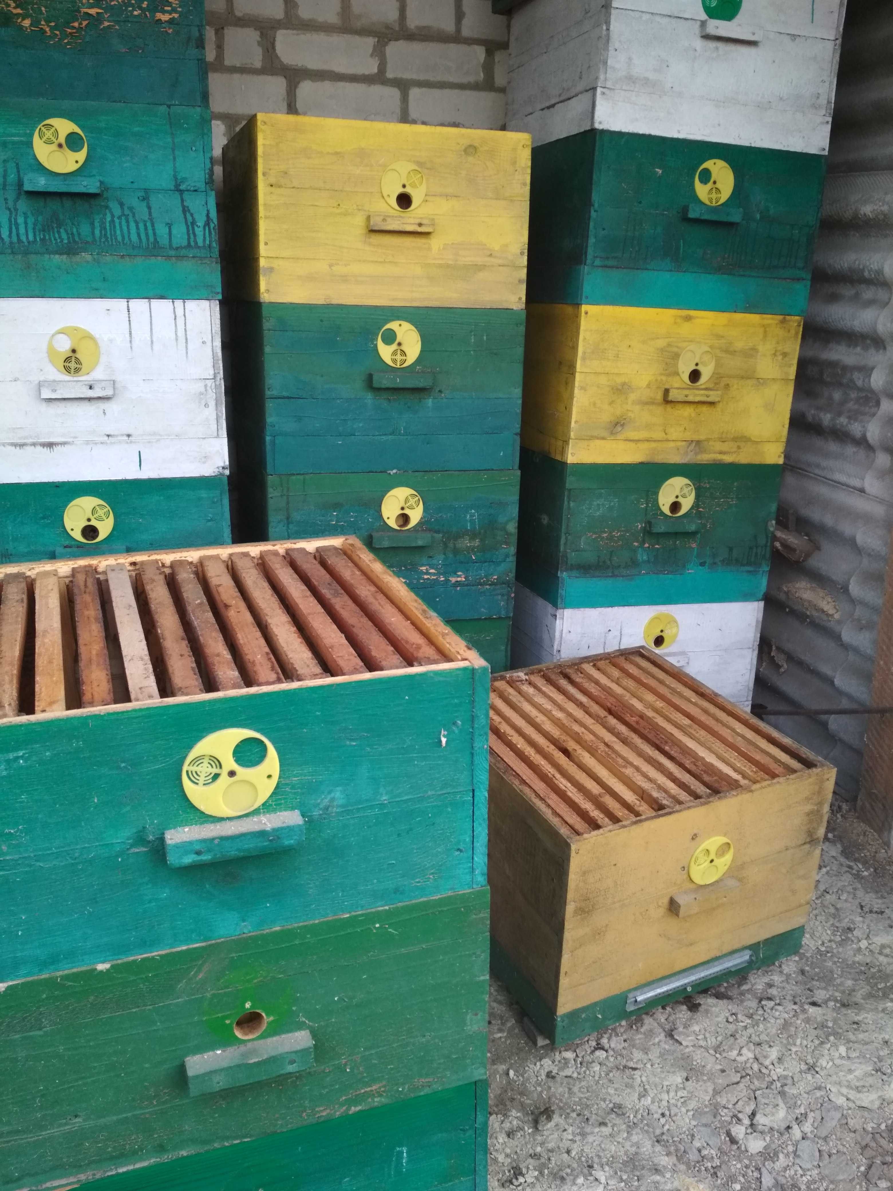 Продам пчелиные ульи.