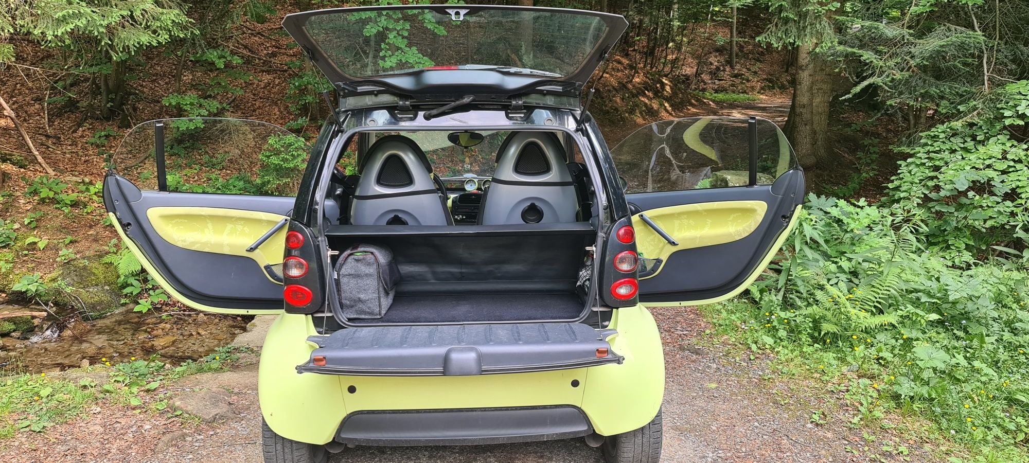 SMART FORTWO 450 0.6 benzyna 2002