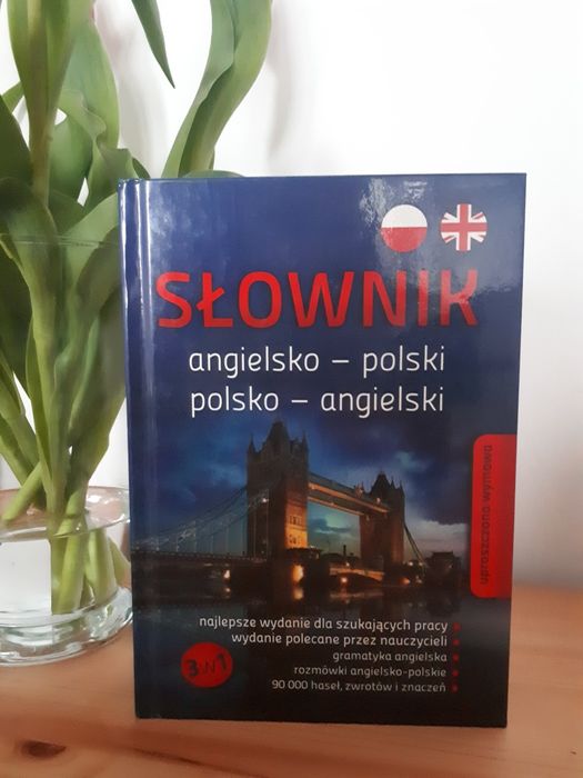 Słownik angielsko-polski polsko-angielski 3w1 rozmówki Greg