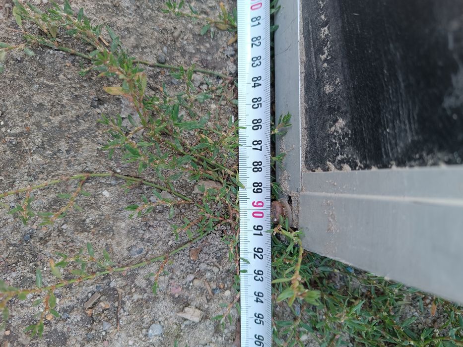 Skrzynia transportowa kojec klatka psa psów samochodu kota kotów