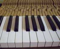 Клавиши от пианино Украина, б/у. Цена за 1шт.