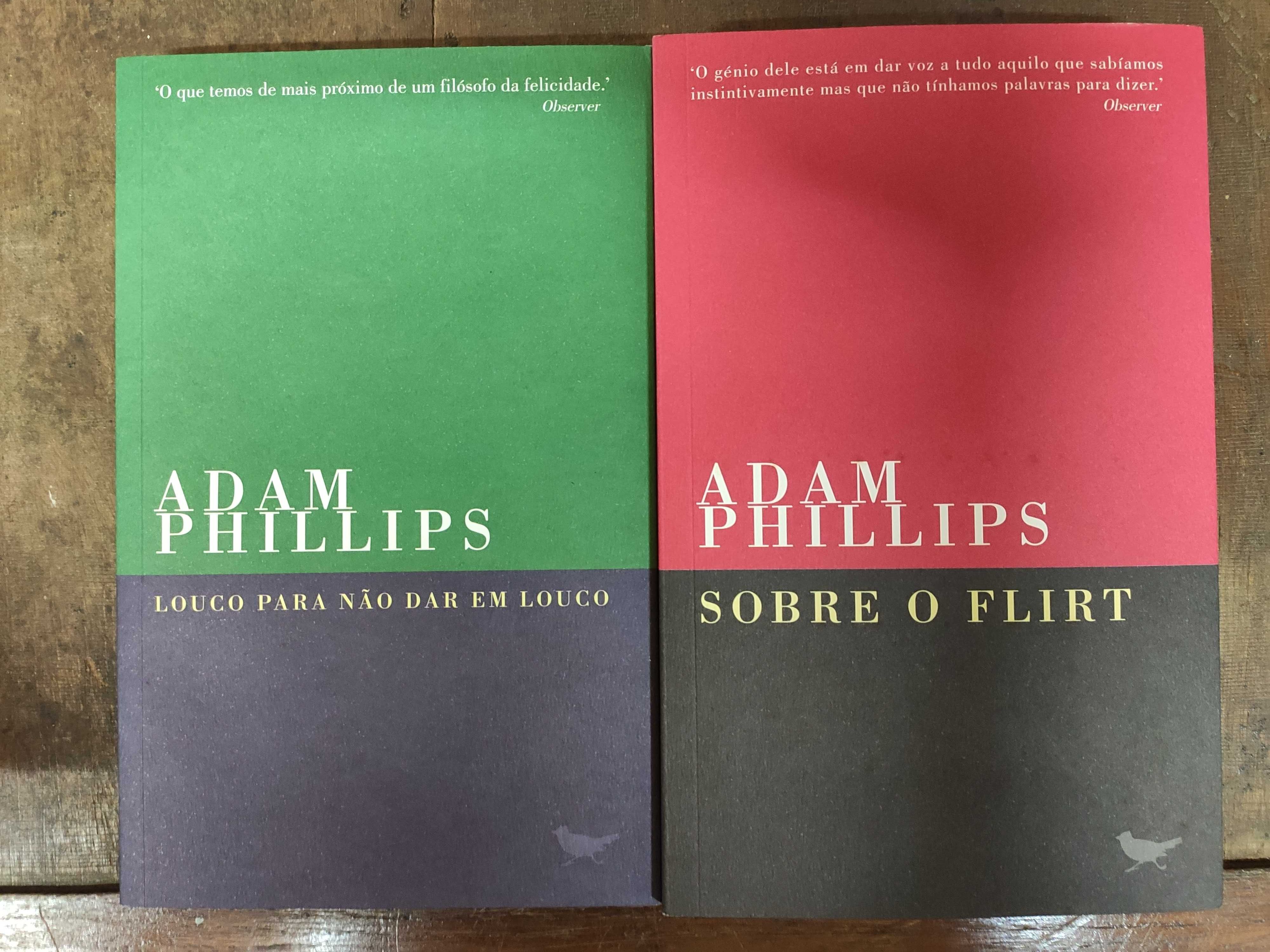 Louco para não dar em louco / Sobre o flirt - Adam Phillips