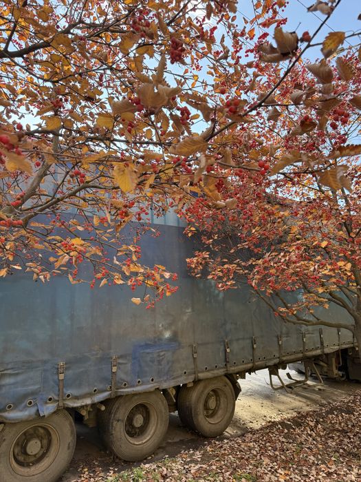 Продам напівпричіп trailer