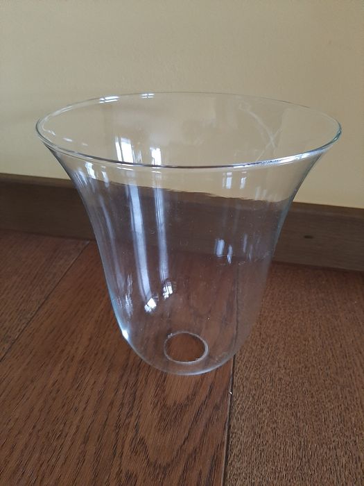 Szklany klosz - tulipan