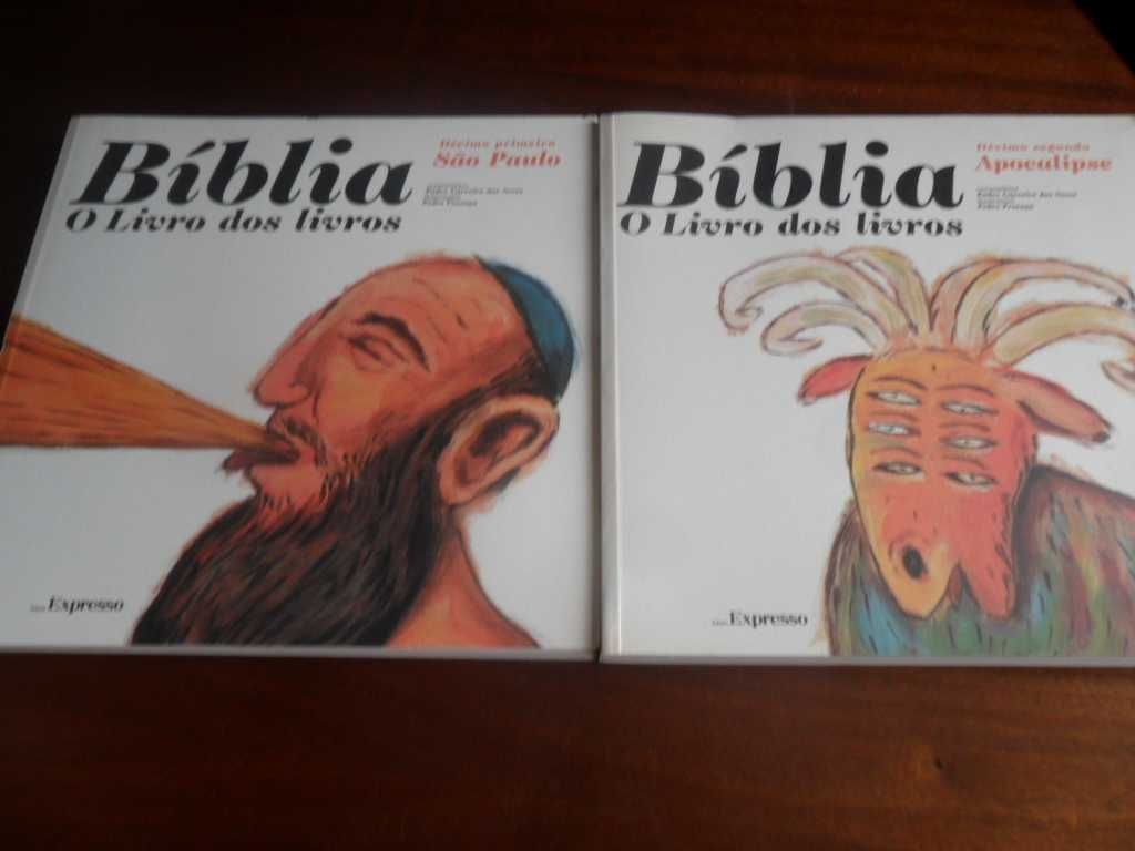 Bíblia, o Livro dos Livros - Edição Especial em 12 Volumes
