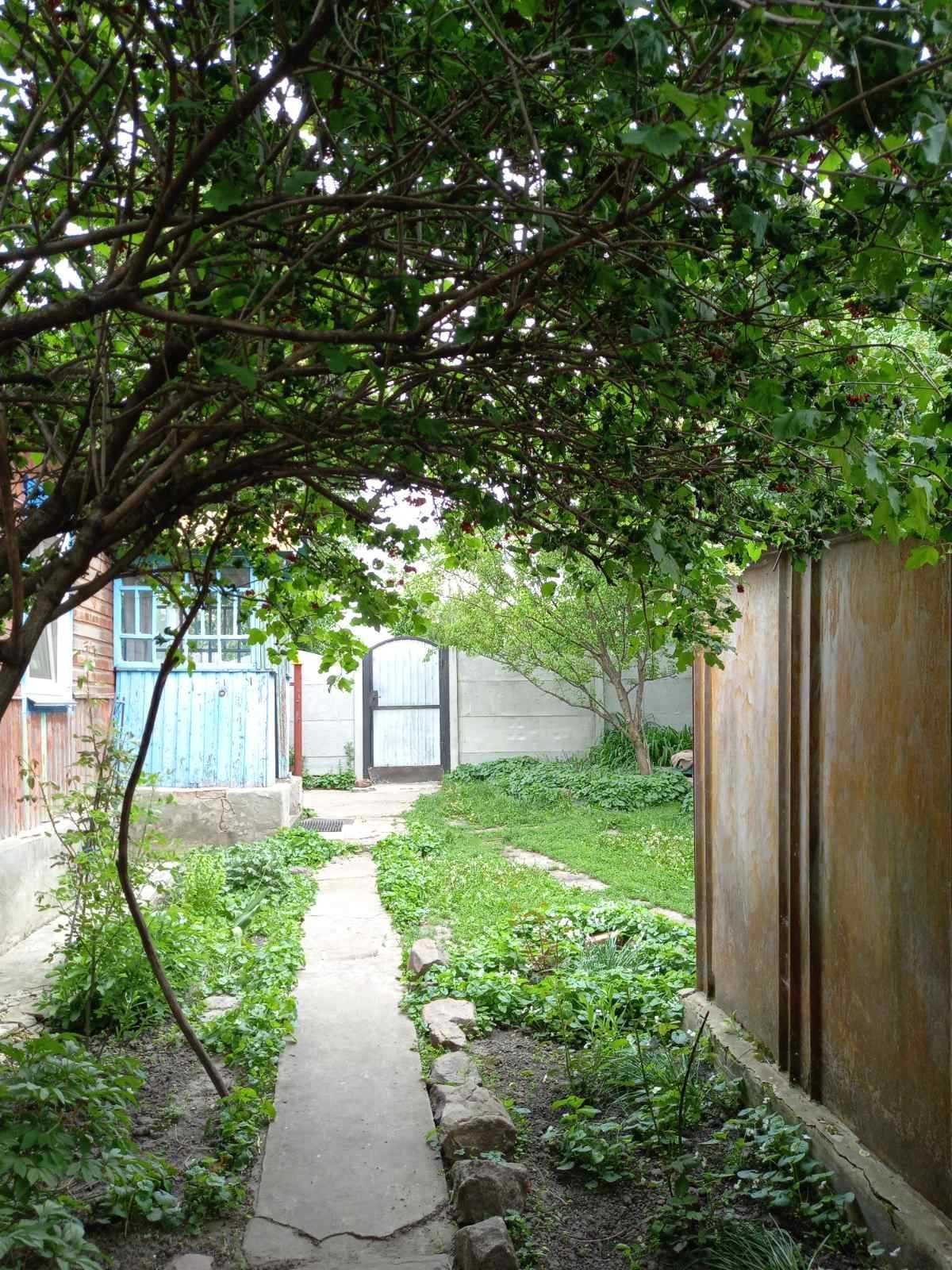 Будинок в с. Локнисте (Чернігівський район)