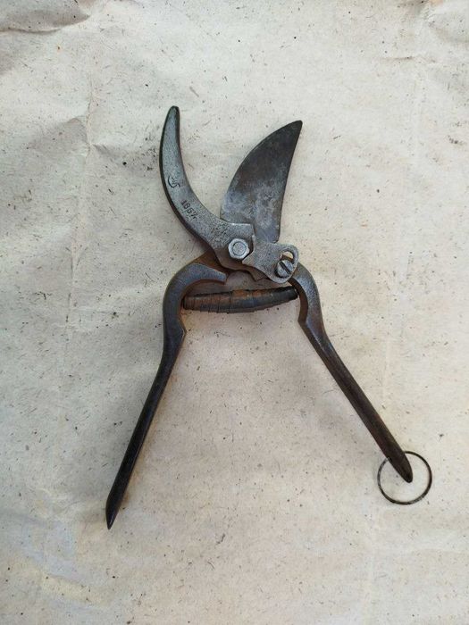 Секатор садовий 1957р.