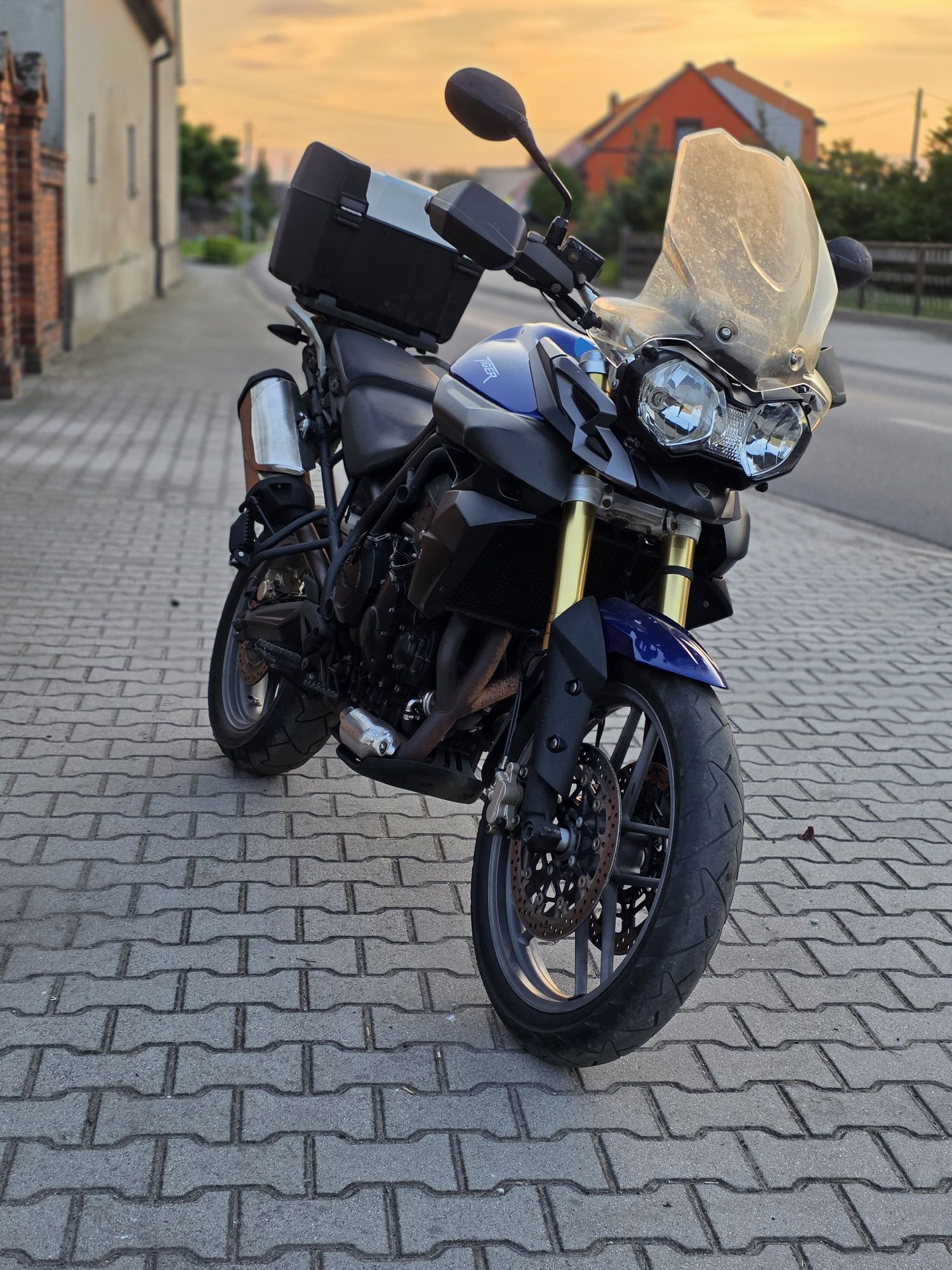 Triumph tiger 800