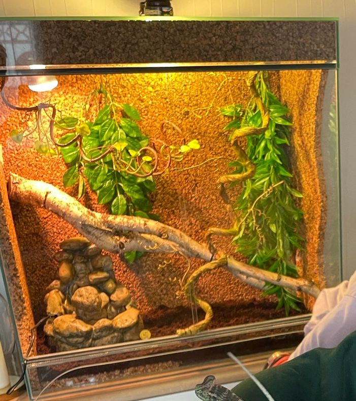 Terrarium dla kameleona i nie tylko