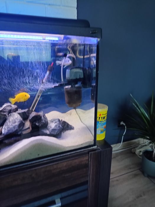 Akwarium 200 litrów