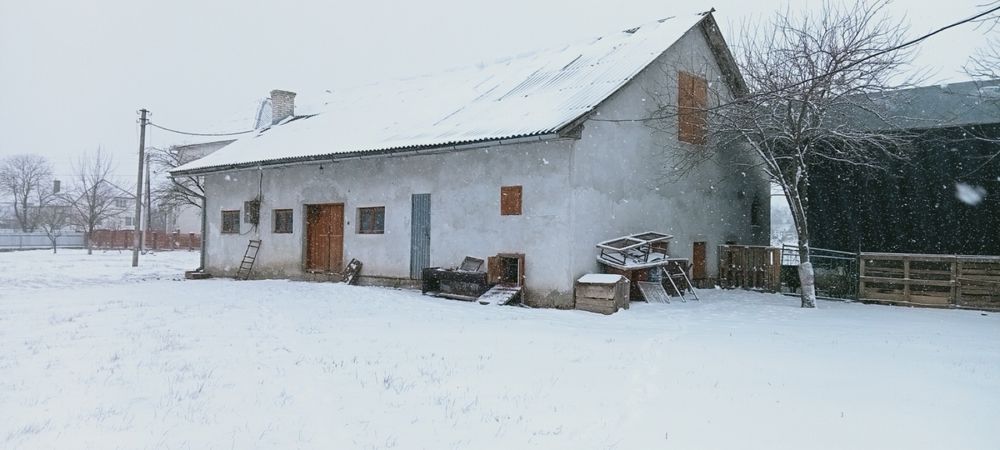 Господарський двір з будівлями