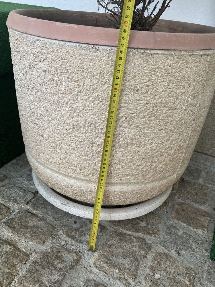 Vaso(s) com cedro natural