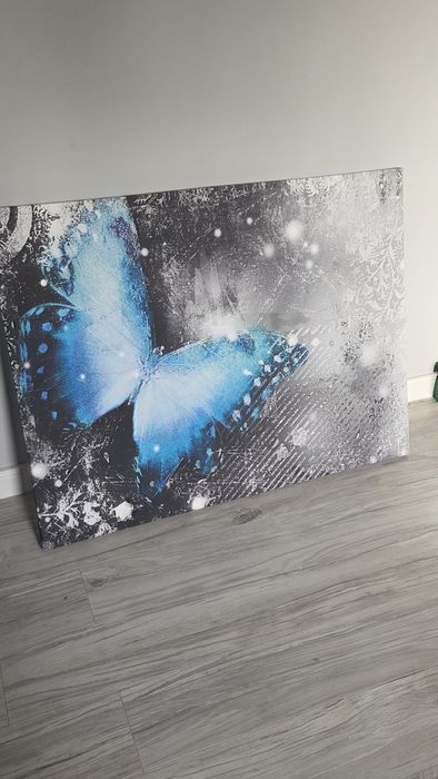 Duży obraz z motylkiem niebieskim