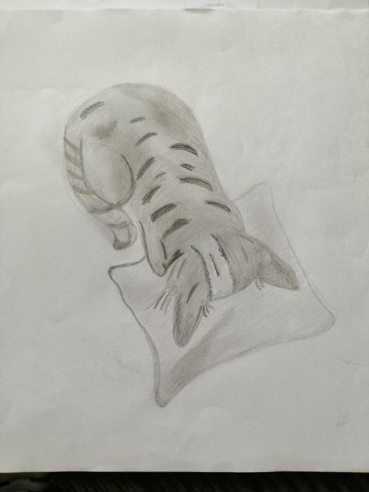 Rysunki własnoręczne