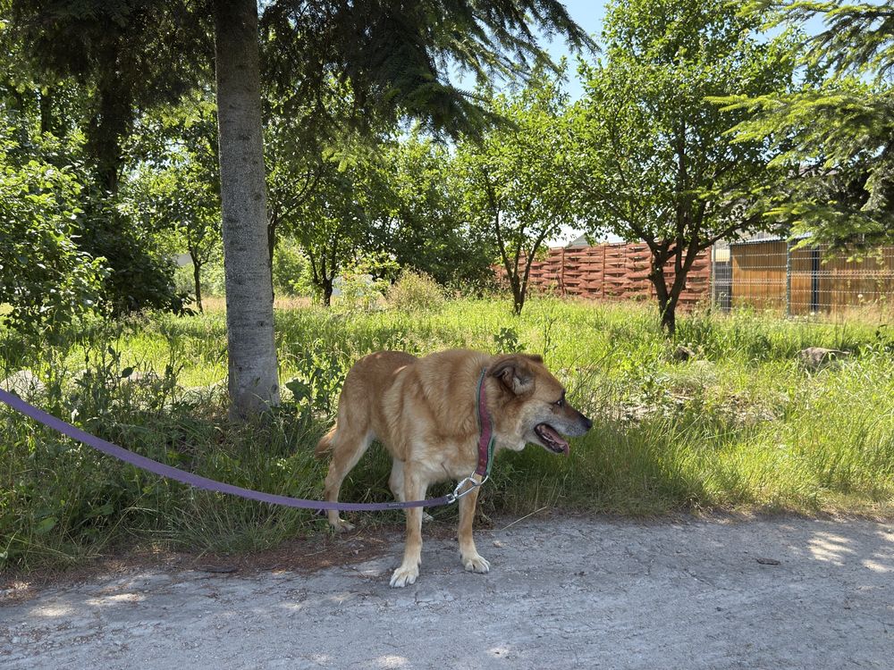 ORI ma dość bezdomności