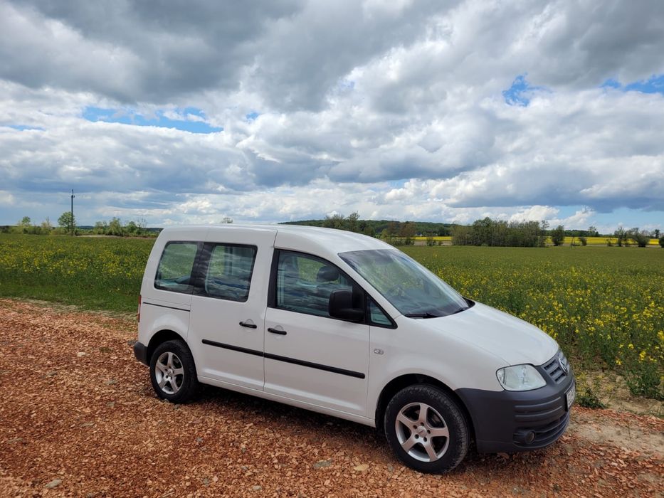 Wynajem, wypozyczenie, osobowe, autolaweta, dostawcze