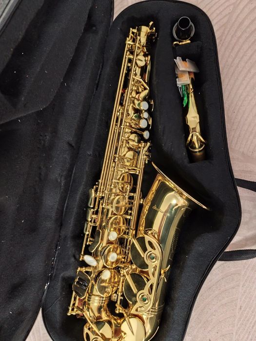 Vendo saxofone alto