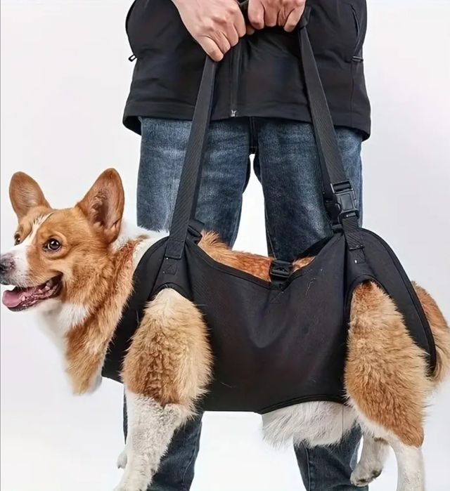 Переноска амуніція для середніх собак допоміжна