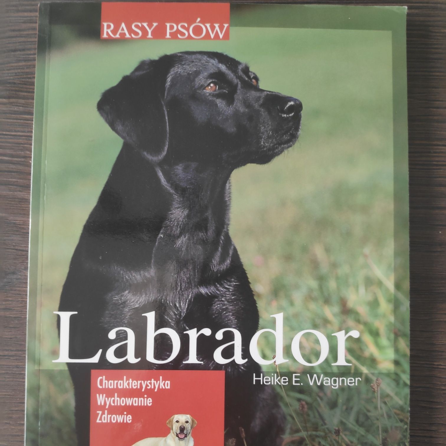 Książka Rasy psów Labrador Heike E. Wagner