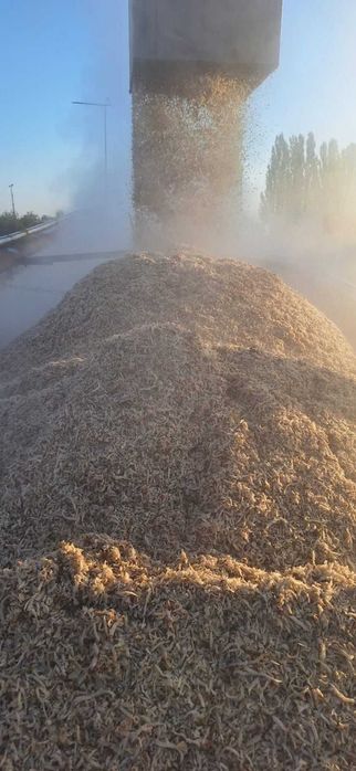 Wysłodki buraczane z dostawą na miejsce