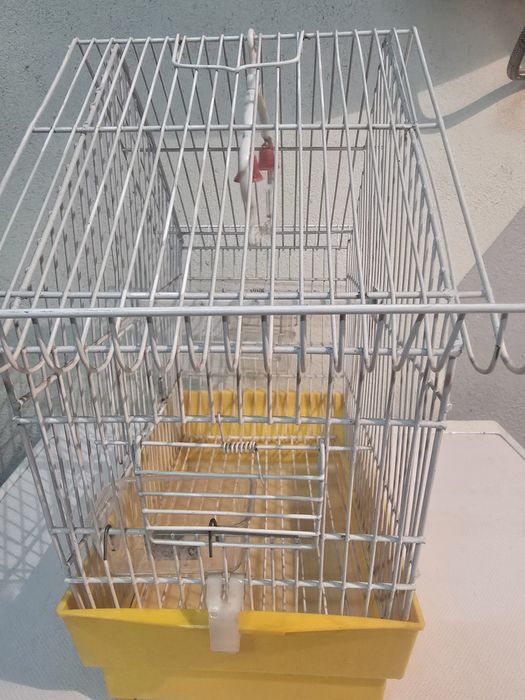 Gaiola para passaros