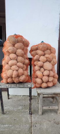 Ziemniaki Bellarosa jadalne, duże