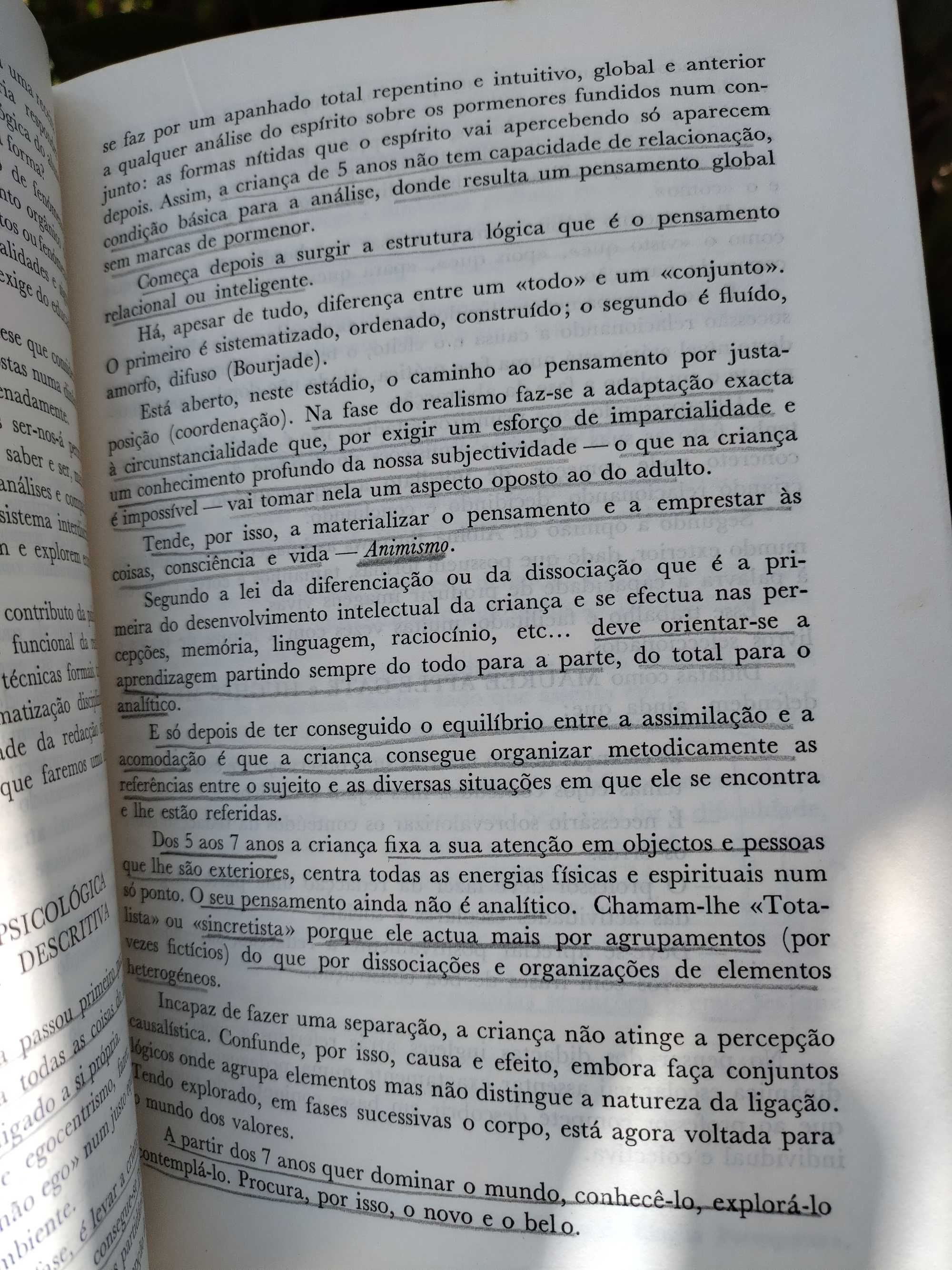 Textologia e Redação (2 Volumes) - Maria Helena Araújo